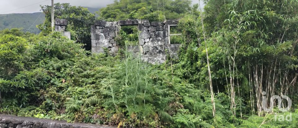 Casa tradicional T0 em São Caetano de 205 m²