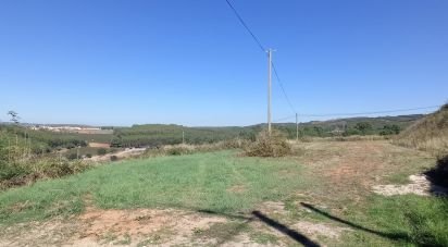 Building land in Lamas e Cercal of 22,480 m²