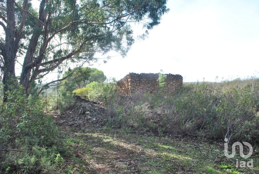 Terreno em Querença, Tôr e Benafim de 7 591 m²