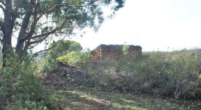 Land in Querença, Tôr e Benafim of 7,591 m²