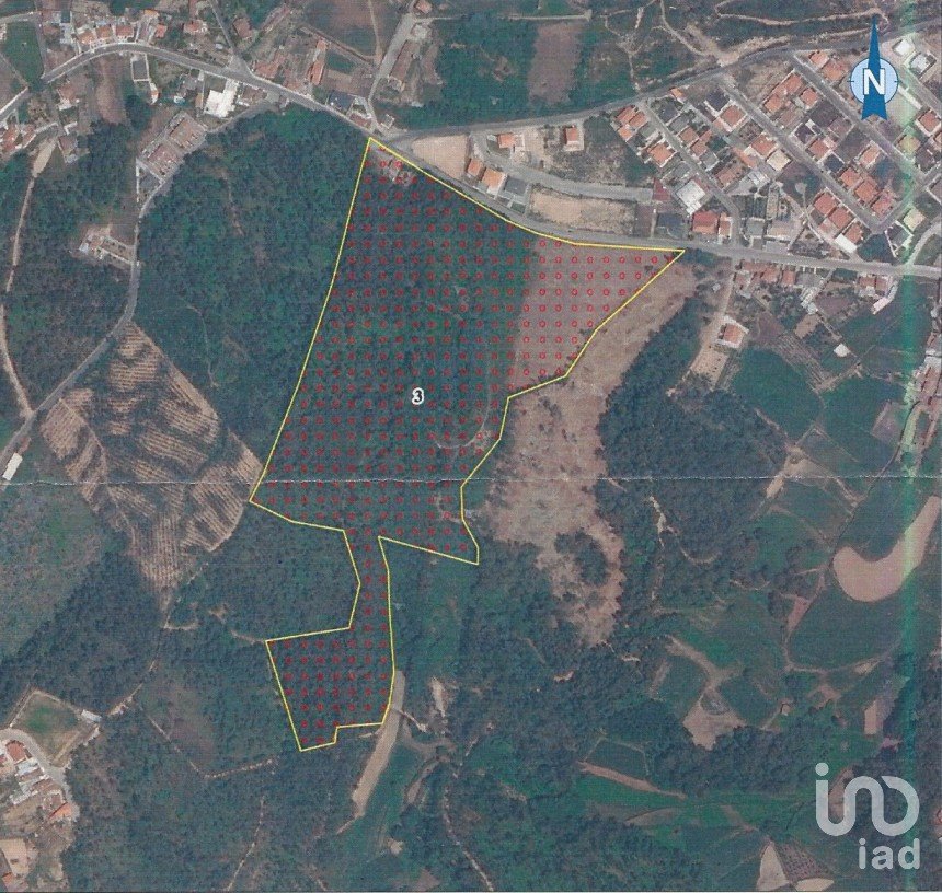 Terreno em Vila de Cucujães de 85 500 m²