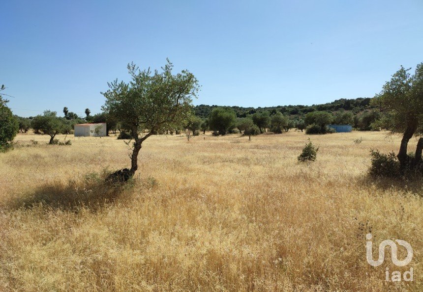 Terreno em São Brás e São Lourenço de 41 000 m²