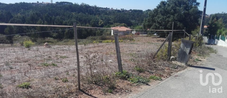 Terreno em Benedita de 16 098 m²