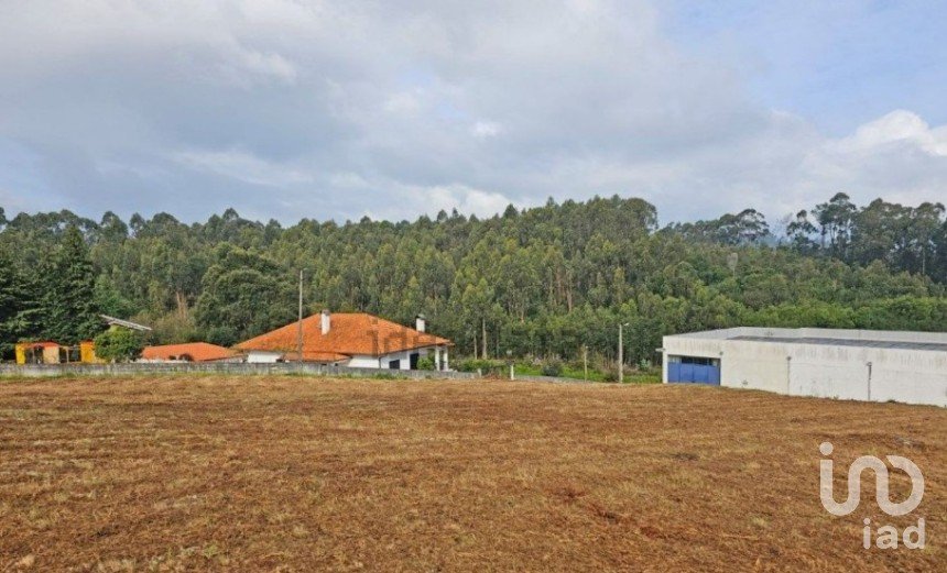 Terreno em Anha de 1 445 m²