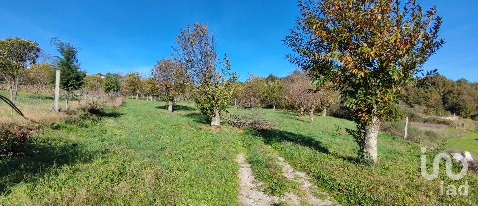 Terrain à Mões de 7 026 m²