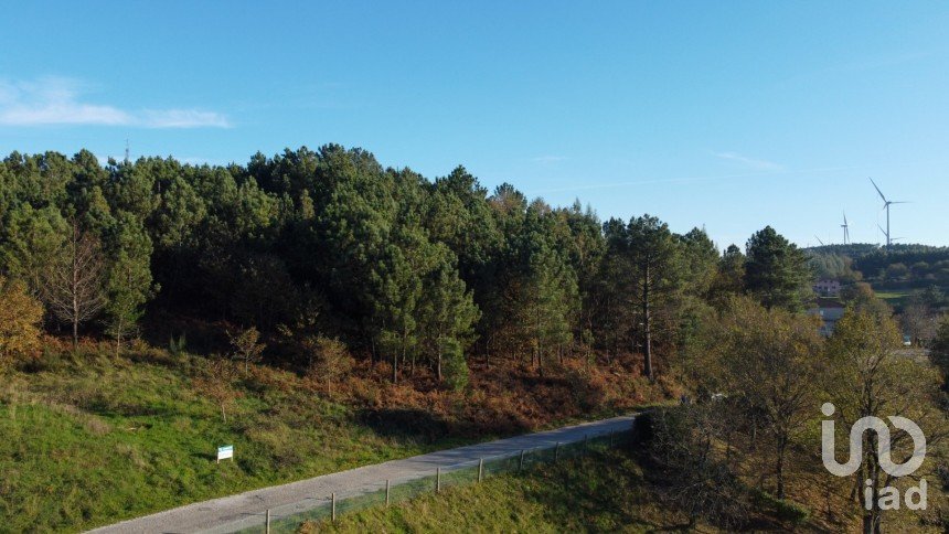 Terreno em Moledo de 9 040 m²