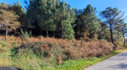 Land in Moledo of 9,040 m²