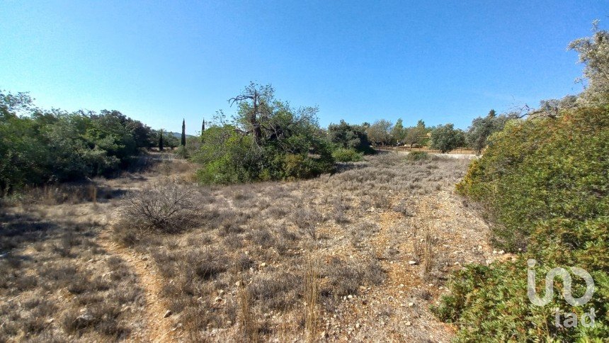 Land in Loulé (São Clemente) of 4,300 m²