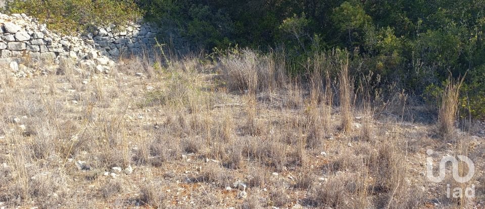 Land in Loulé (São Clemente) of 4,300 m²