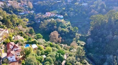 Country house T4 in Sintra (Santa Maria e São Miguel, São Martinho e São Pedro de Penaferrim) of 1,254 m²