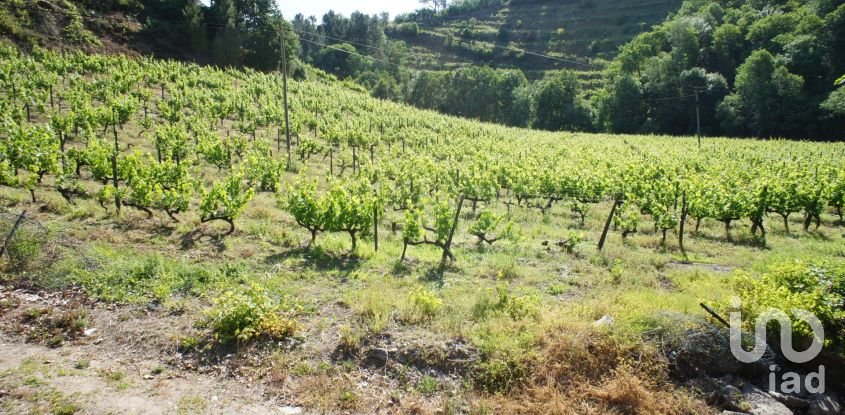 Terrain agricole à Louredo e Fornelos de 35 296 m²