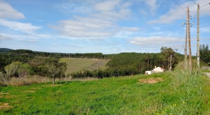 Terrain à bâtir à Cadaval e Pêro Moniz de 1 774 m²