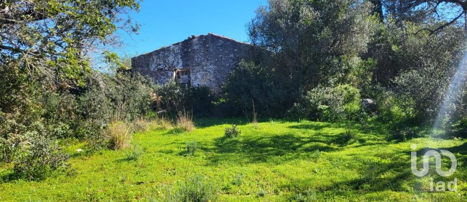 Terrain à São Brás de Alportel de 2 210 m²