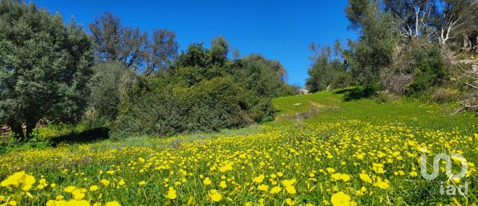 Terrain à São Brás de Alportel de 2 210 m²