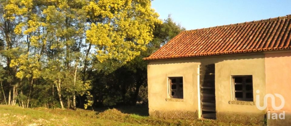 Casa T2 em Tomar (São João Baptista) e Santa Maria dos Olivais de 44 m²