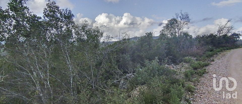 Terreno em Freixianda, Ribeira do Fárrio e Formigais de 12 000 m²