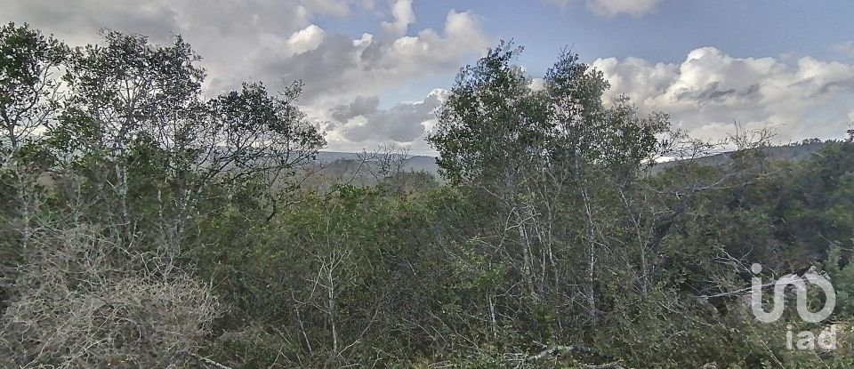 Terrain à Freixianda, Ribeira do Fárrio e Formigais de 12 562 m²