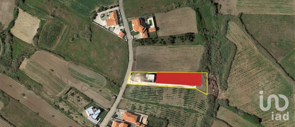 Terreno em Lourinhã e Atalaia de 1 253 m²