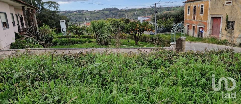 Terreno em Porto de Mós - São João Baptista e São Pedro de 1 120 m²