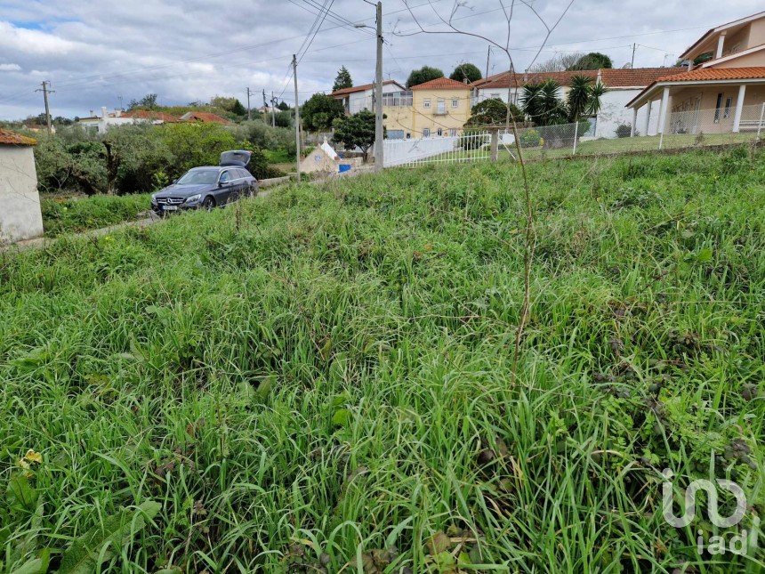 Terreno em Porto de Mós - São João Baptista e São Pedro de 1 120 m²