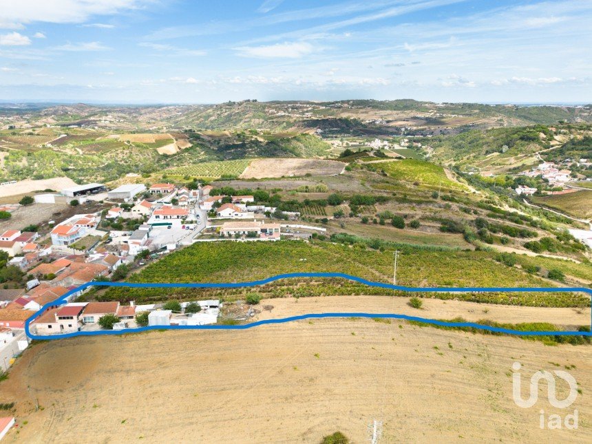 Quinta T3 em Ribafria e Pereiro de Palhacana de 100 m²