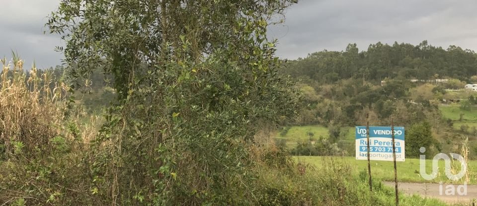 Terreno em Santiago e São Simão de Litém e Albergaria dos Doze de 1 150 m²