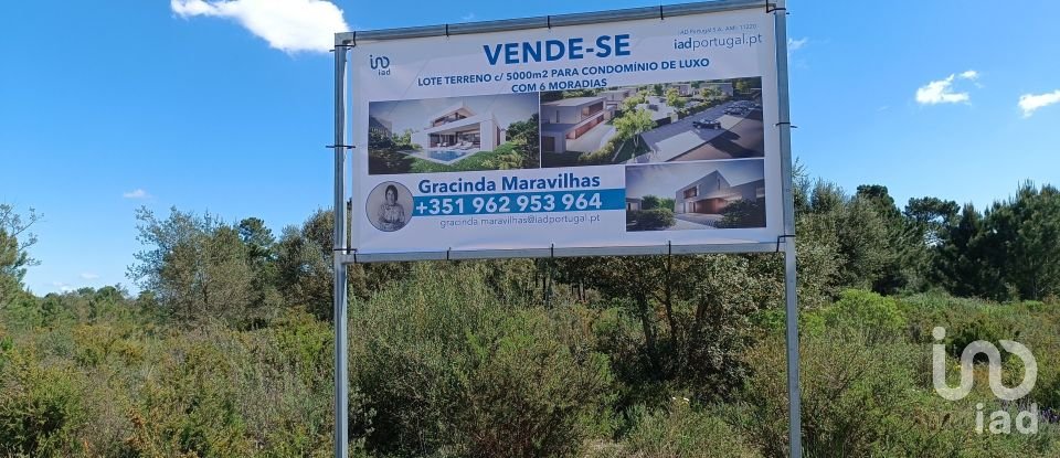 Terreno em Sesimbra (Castelo) de 5 000 m²