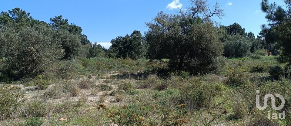 Terreno em Sesimbra (Castelo) de 5 000 m²