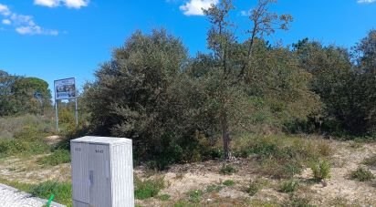 Land in Sesimbra (Castelo) of 5,000 m²