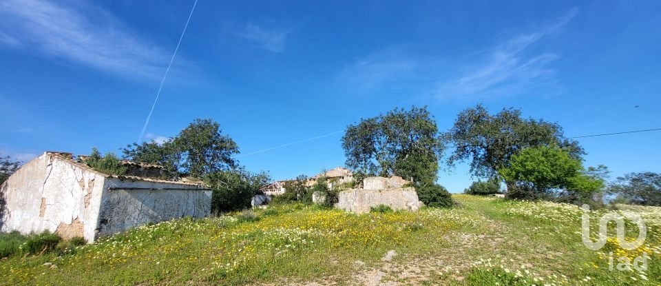 Terreno para construção em Santa Catarina da Fonte do Bispo de 230 000 m²