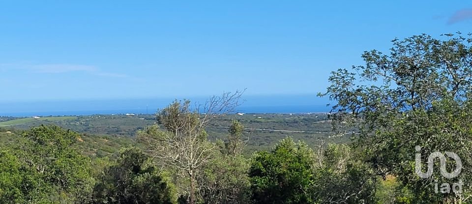 Terreno para construção em Santa Catarina da Fonte do Bispo de 230 000 m²