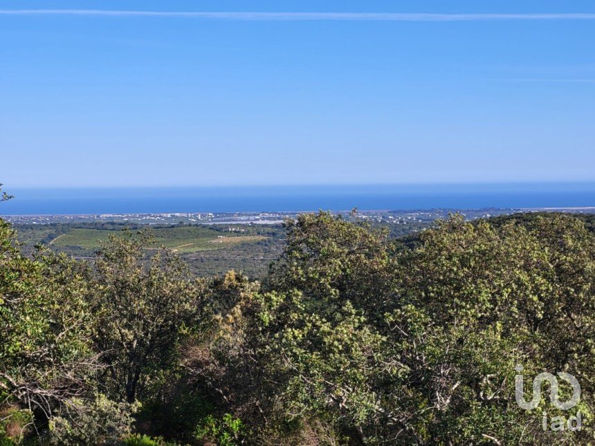 Terreno para construção em Santa Catarina da Fonte do Bispo de 230 000 m²