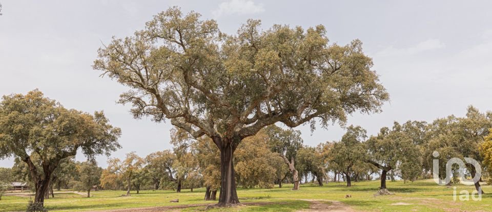 Ferme T12 à Aldeia Velha de 694 m²