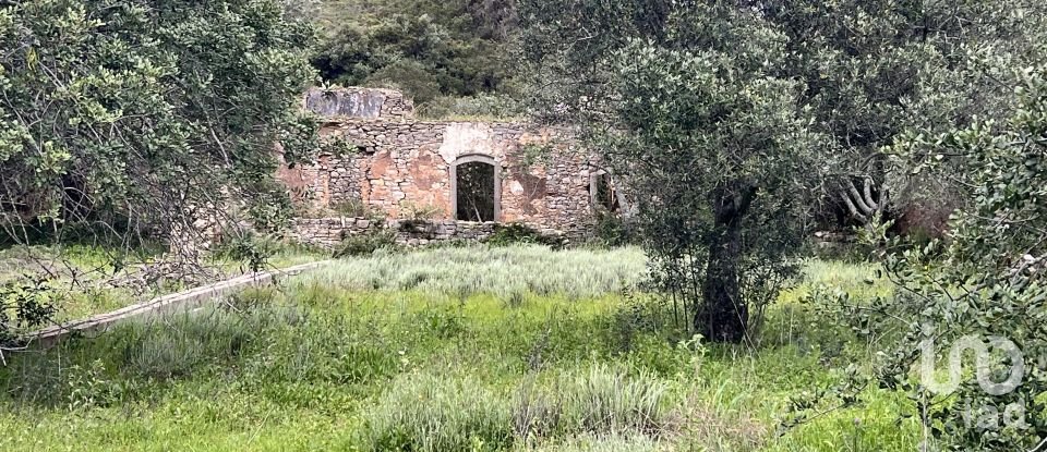 Terreno para construção em Loulé (São Clemente) de 2 360 m²