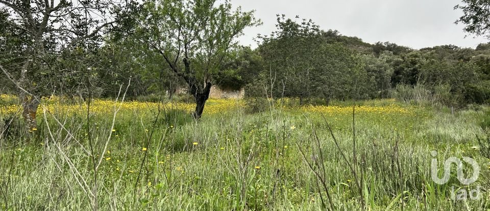 Terreno para construção em Loulé (São Clemente) de 2 360 m²