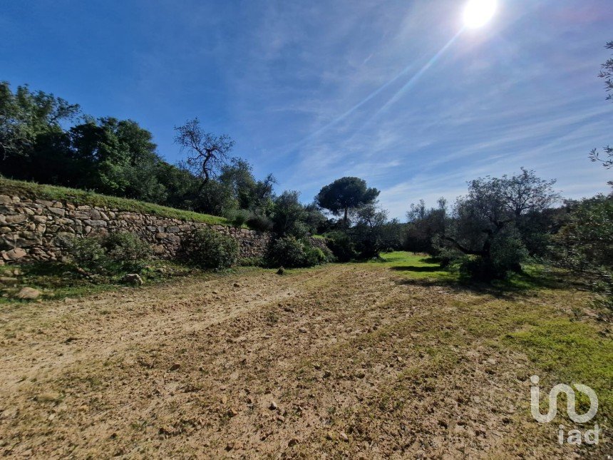 Land in Almancil of 3,700 m²