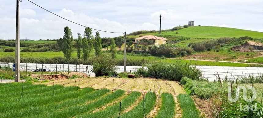 Terreno em A dos Cunhados e Maceira de 921 m²