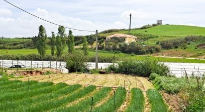 Terreno em A dos Cunhados e Maceira de 921 m²