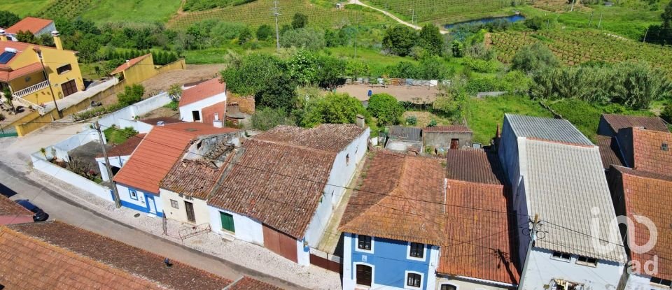 Village house T3 in Lamas e Cercal of 100 m²