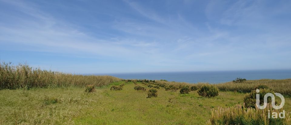 Terrain agricole à Caldas da Rainha - Santo Onofre e Serra do Bouro de 7 660 m²