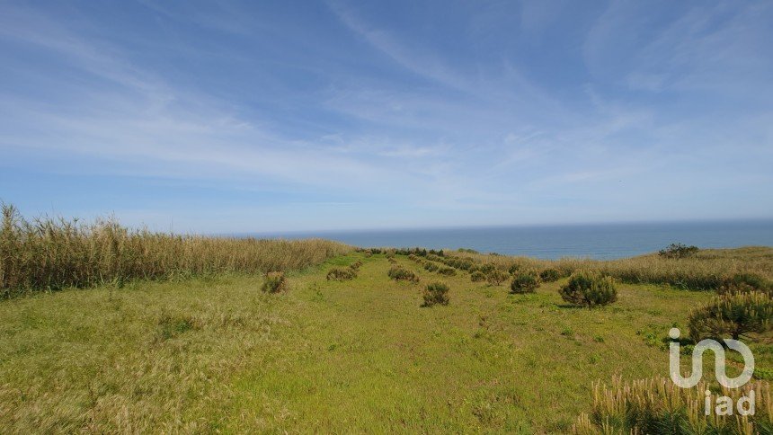 Terrain agricole à Caldas da Rainha - Santo Onofre e Serra do Bouro de 7 660 m²