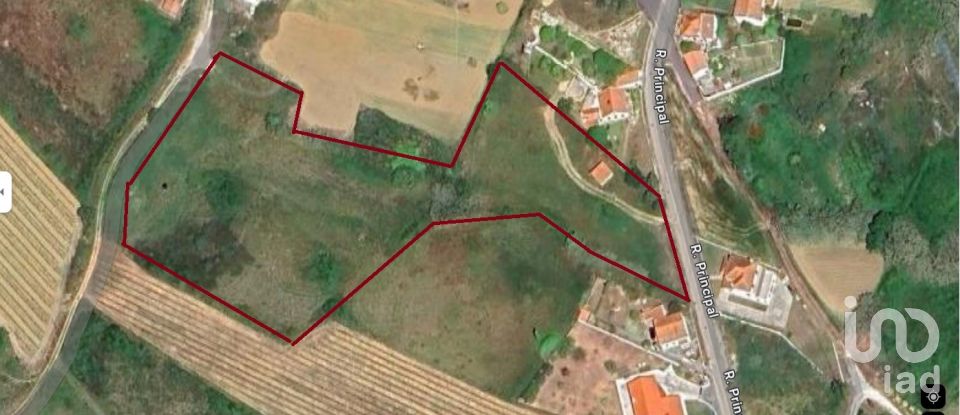 Terreno em Carvoeira e Carmões de 12 064 m²