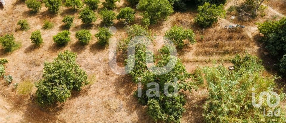 Terreno em Tavira (Santa Maria e Santiago) de 2 455 m²