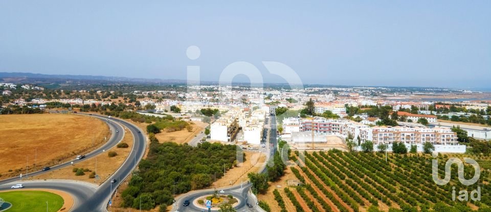 Terreno em Tavira (Santa Maria e Santiago) de 2 455 m²