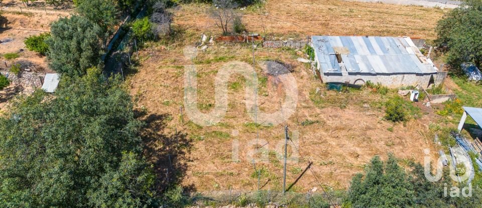 Terrain à bâtir à Querença, Tôr e Benafim de 1 064 m²