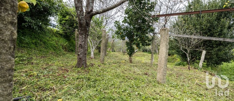 Terrain à Reboreda e Nogueira de 1 200 m²