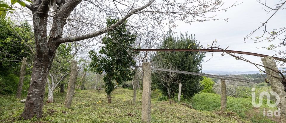 Terrain à Reboreda e Nogueira de 1 200 m²