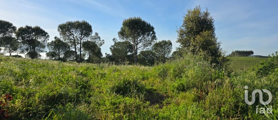 Land in Painho e Figueiros of 26,040 m²