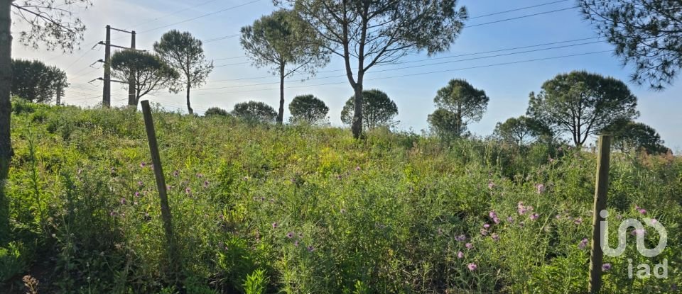 Terrain à Painho e Figueiros de 26 040 m²