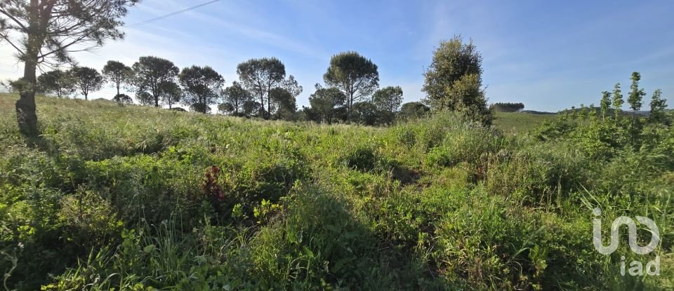 Land in Painho e Figueiros of 26,040 m²